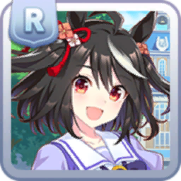 10055